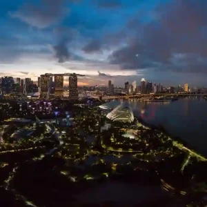 Singapore Bio Congress_结果