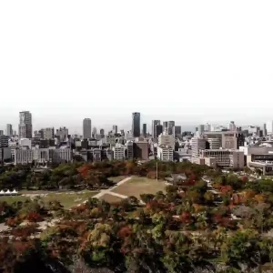 Tokyo Pharma Summit_结果
