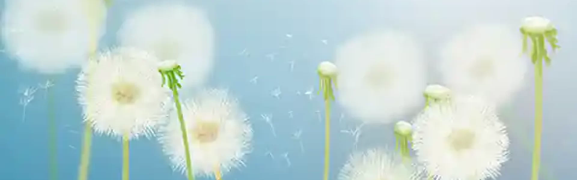 千亿多肽风口转向_01_02_2026